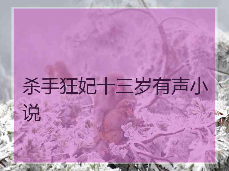 杀手狂妃十三岁有声小说