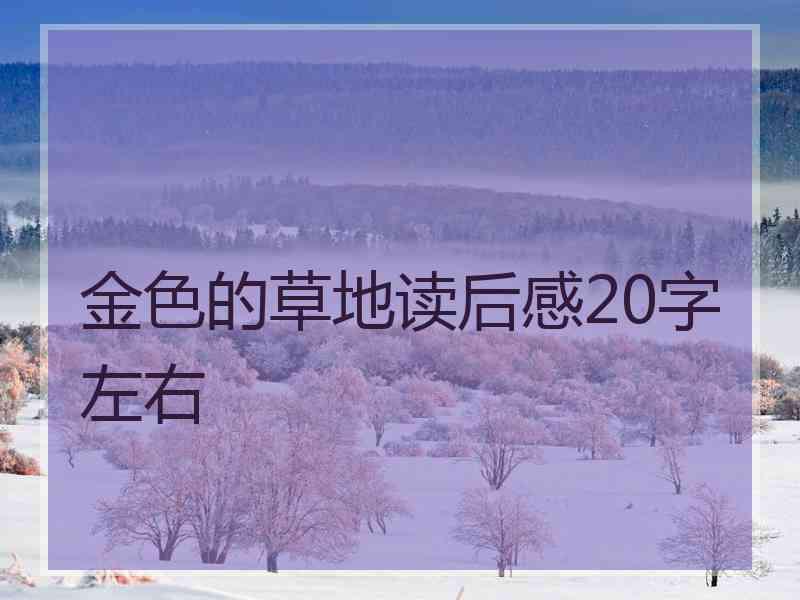 金色的草地读后感20字左右