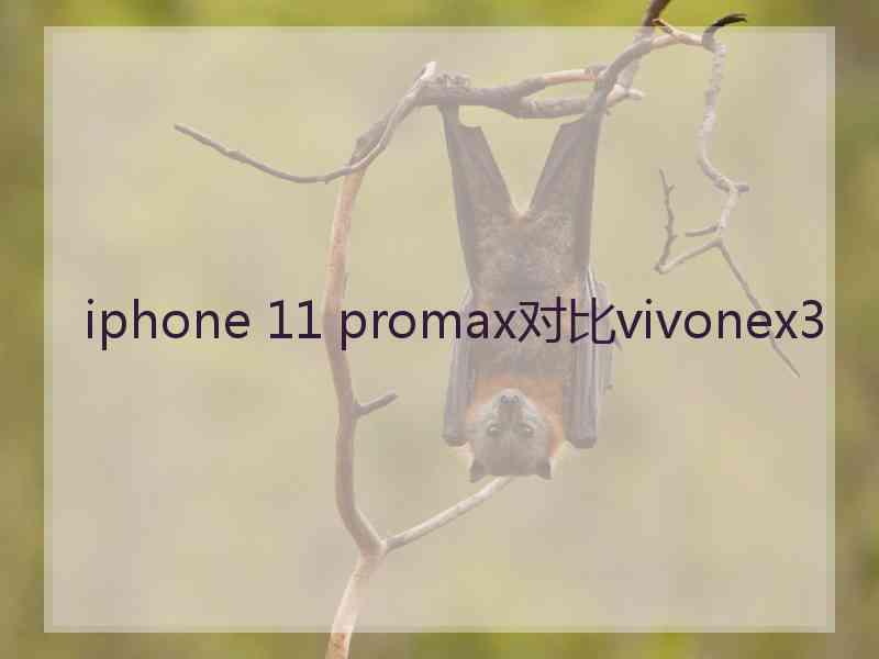 iphone 11 promax对比vivonex3