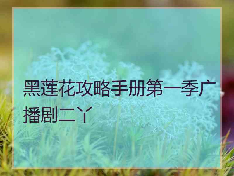 黑莲花攻略手册第一季广播剧二丫