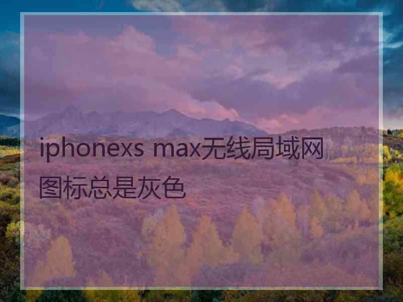 iphonexs max无线局域网图标总是灰色