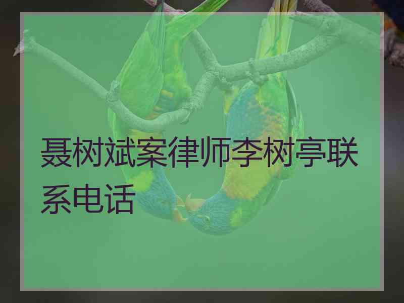 聂树斌案律师李树亭联系电话