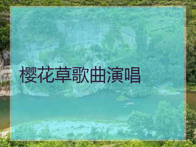 樱花草歌曲演唱