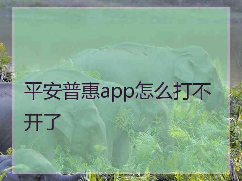 平安普惠app怎么打不开了