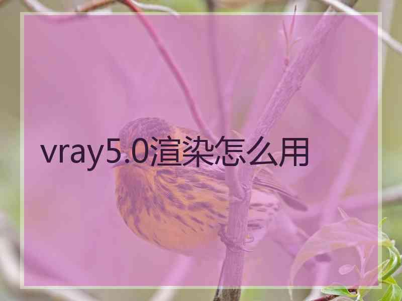 vray5.0渲染怎么用