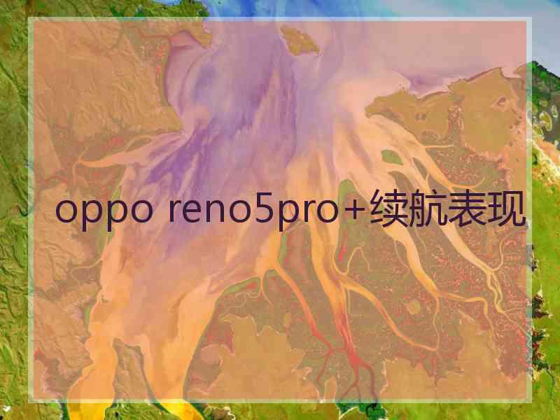 oppo reno5pro+续航表现