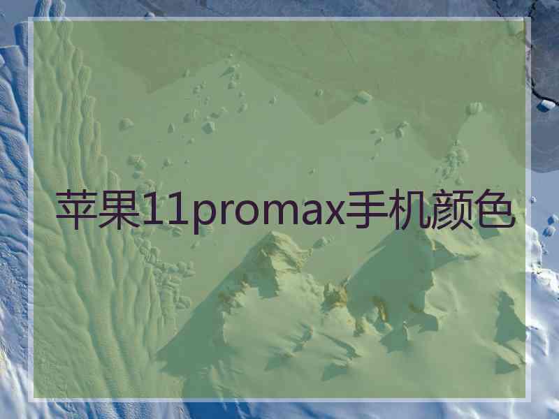 苹果11promax手机颜色