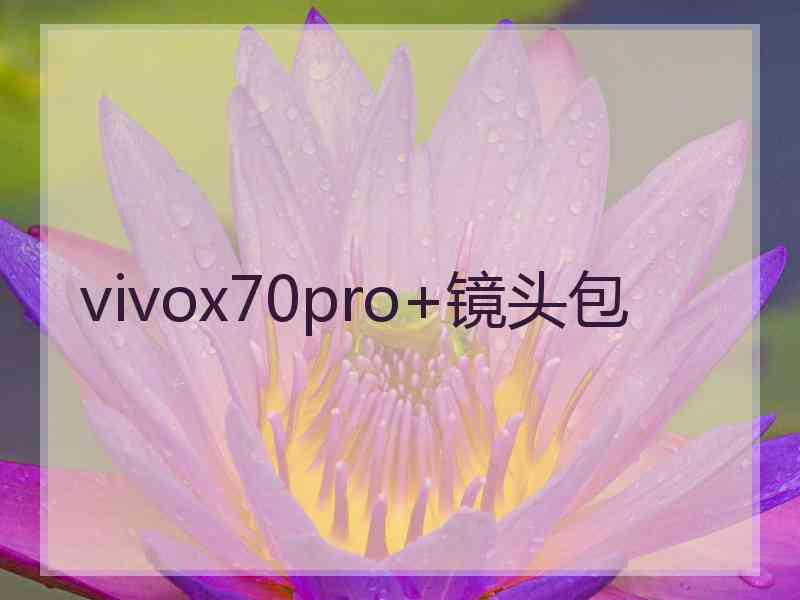 vivox70pro+镜头包