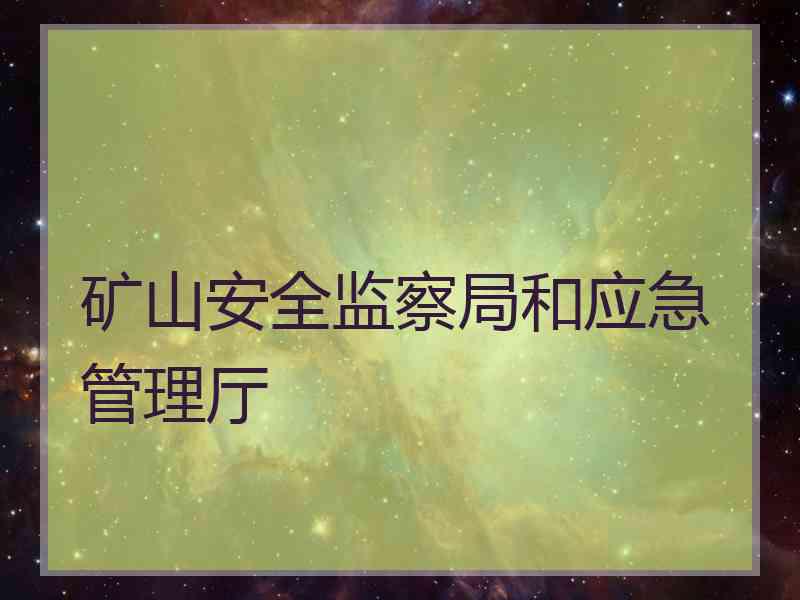 矿山安全监察局和应急管理厅