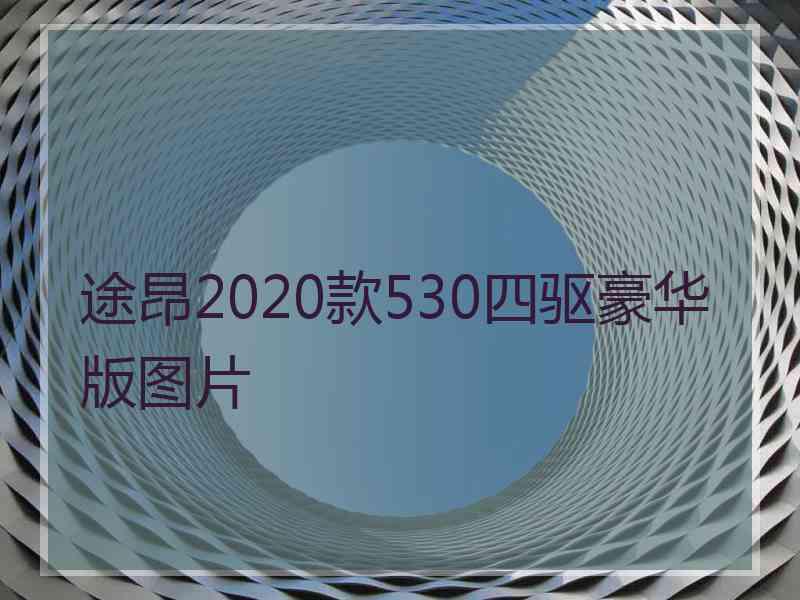 途昂2020款530四驱豪华版图片