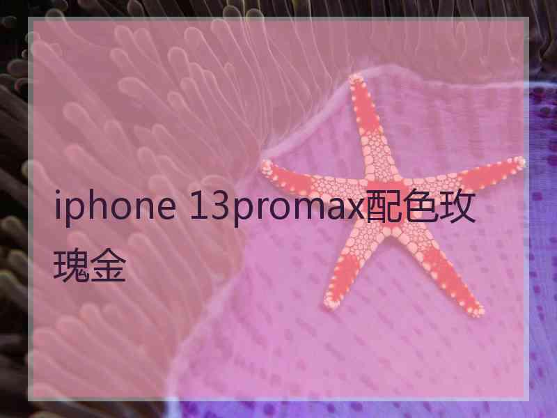 iphone 13promax配色玫瑰金