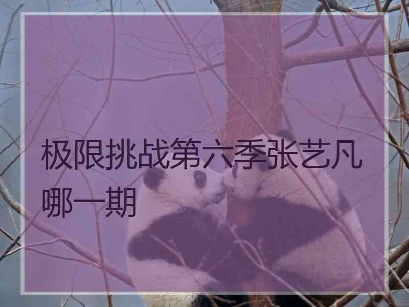 极限挑战第六季张艺凡哪一期