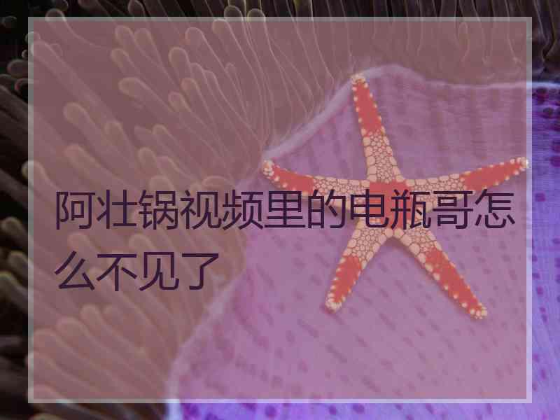 阿壮锅视频里的电瓶哥怎么不见了