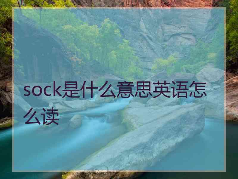 sock是什么意思英语怎么读