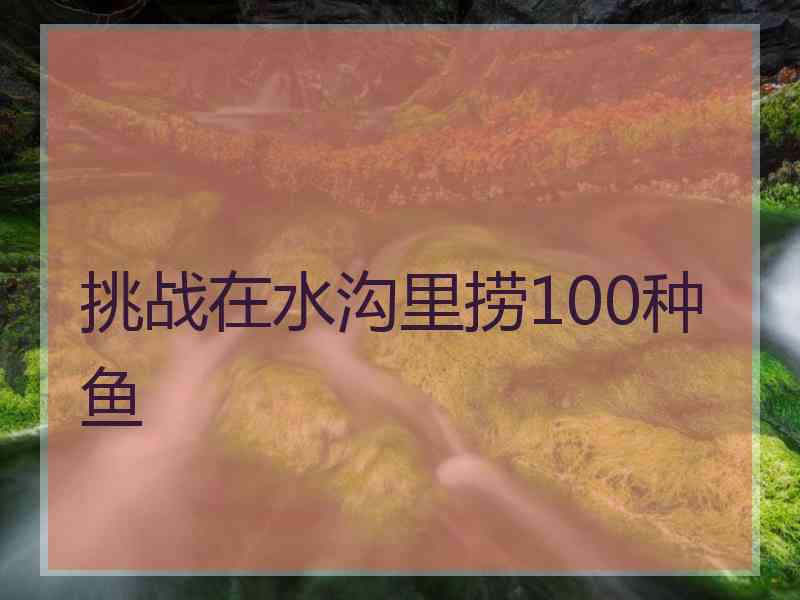 挑战在水沟里捞100种鱼