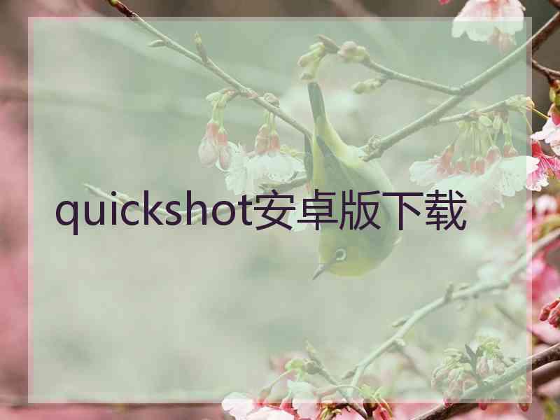 quickshot安卓版下载