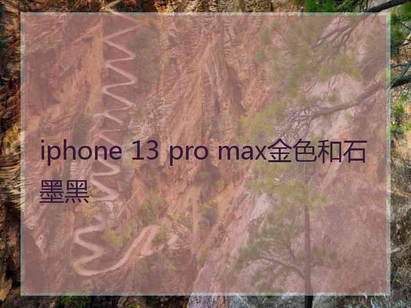 iphone 13 pro max金色和石墨黑