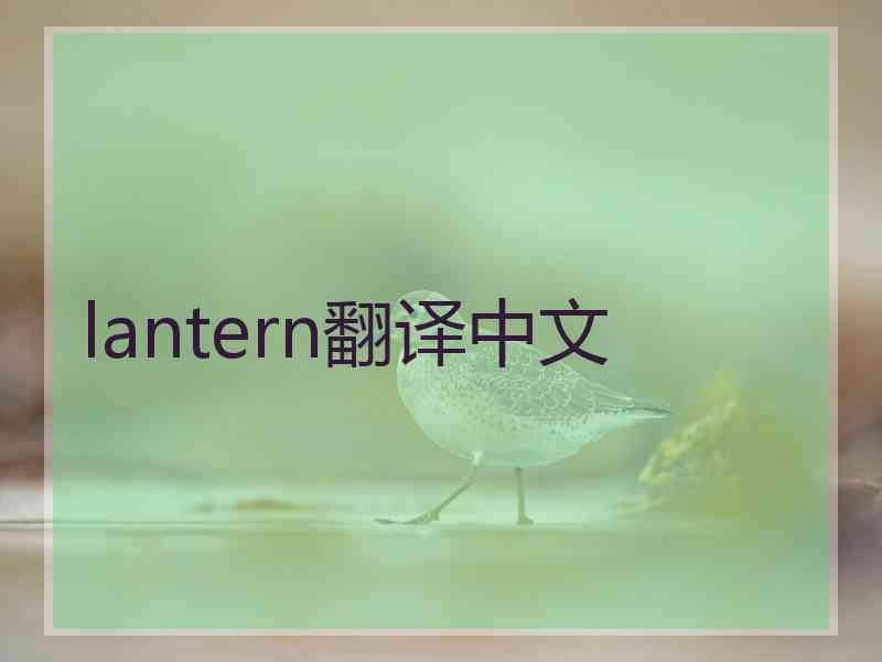 lantern翻译中文