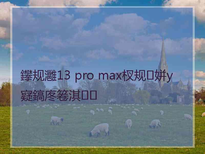 鑻规灉13 pro max杈规姘у寲鎬庝箞淇