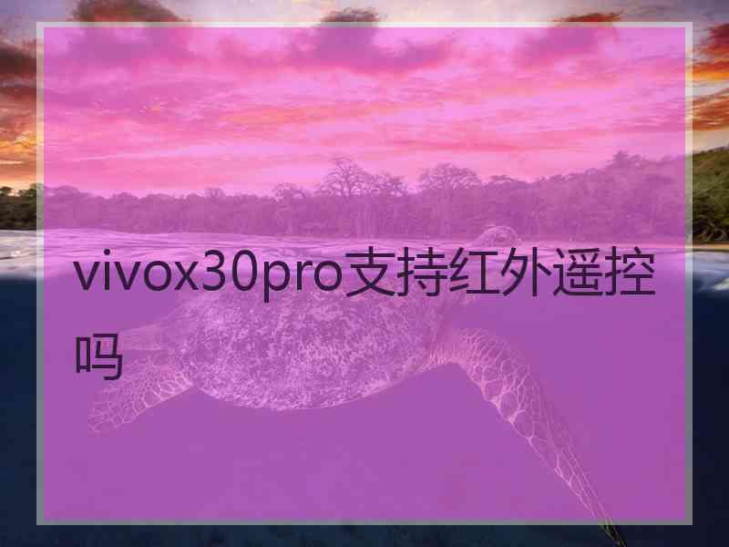 vivox30pro支持红外遥控吗