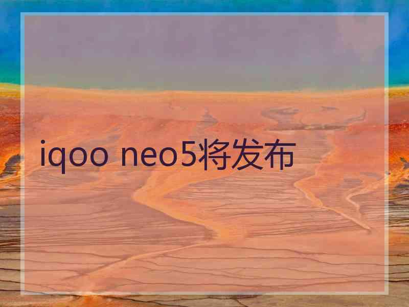 iqoo neo5将发布