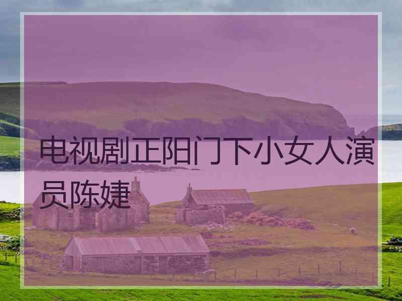 电视剧正阳门下小女人演员陈婕