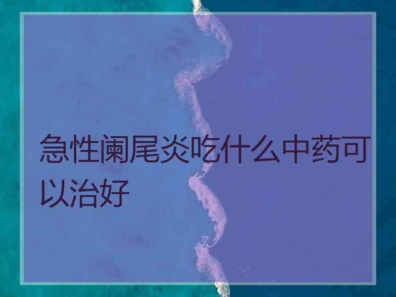 急性阑尾炎吃什么中药可以治好