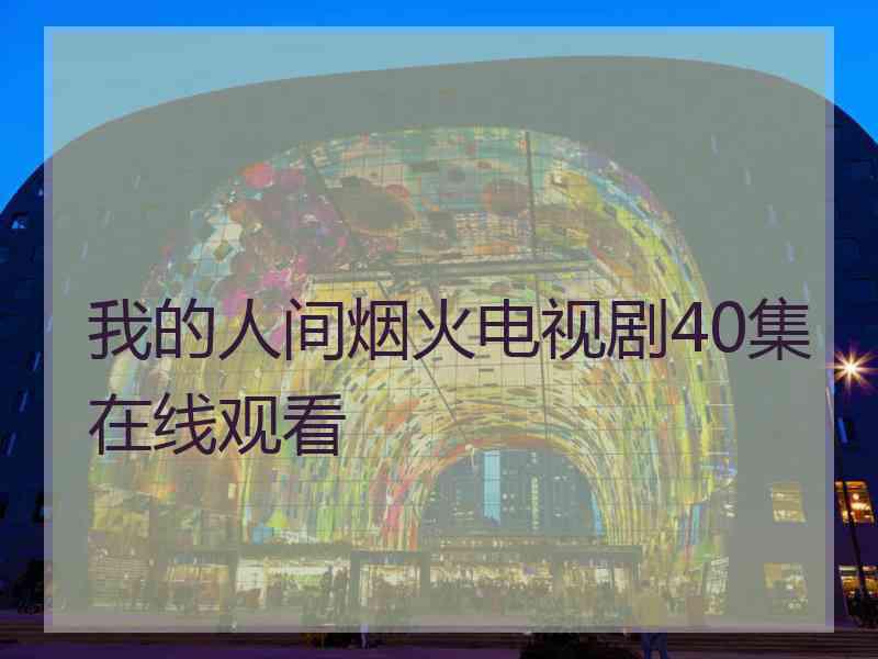 我的人间烟火电视剧40集在线观看