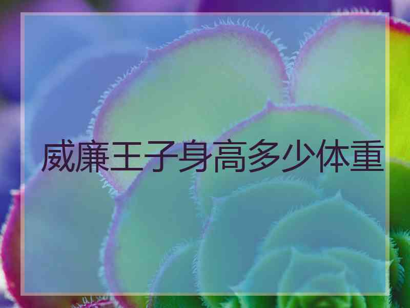 威廉王子身高多少体重