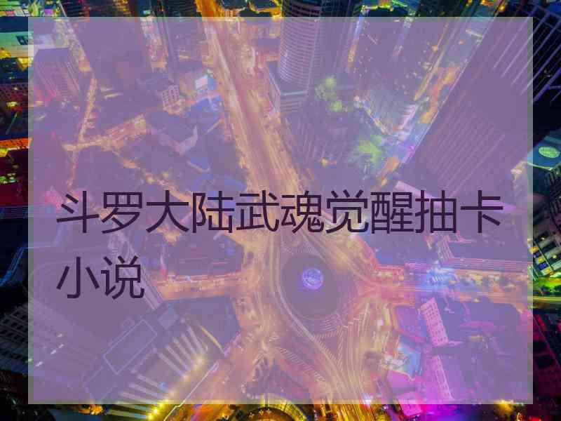 斗罗大陆武魂觉醒抽卡小说