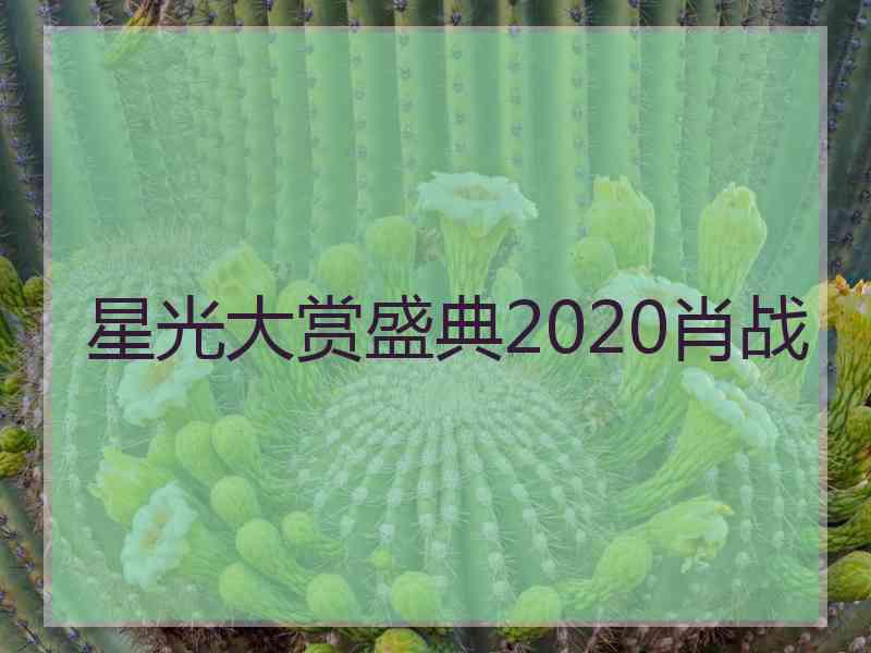 星光大赏盛典2020肖战