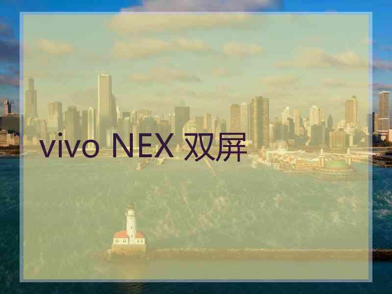 vivo NEX 双屏