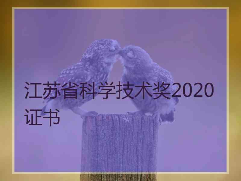 江苏省科学技术奖2020证书