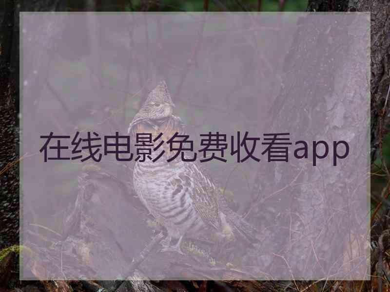 在线电影免费收看app