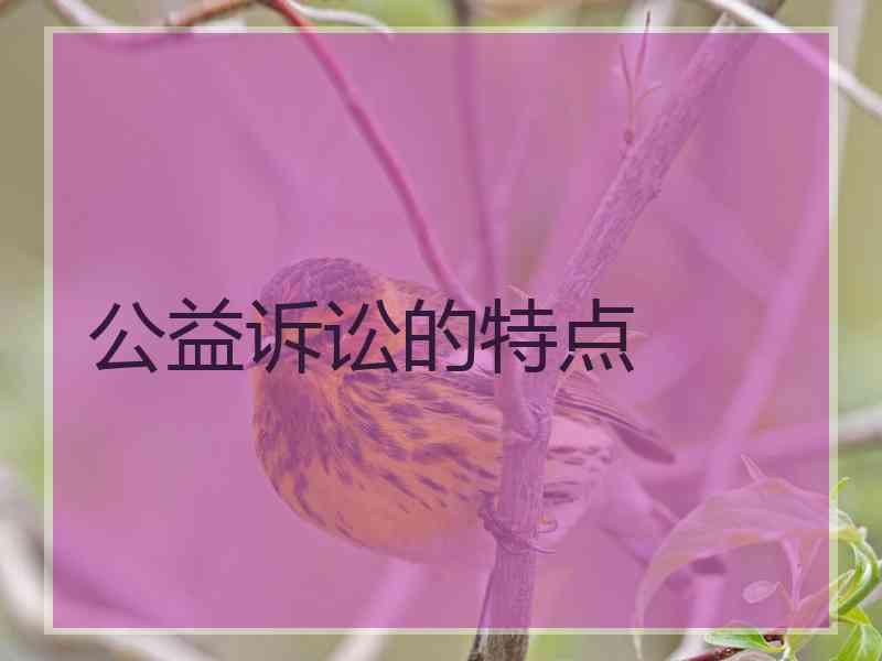 公益诉讼的特点