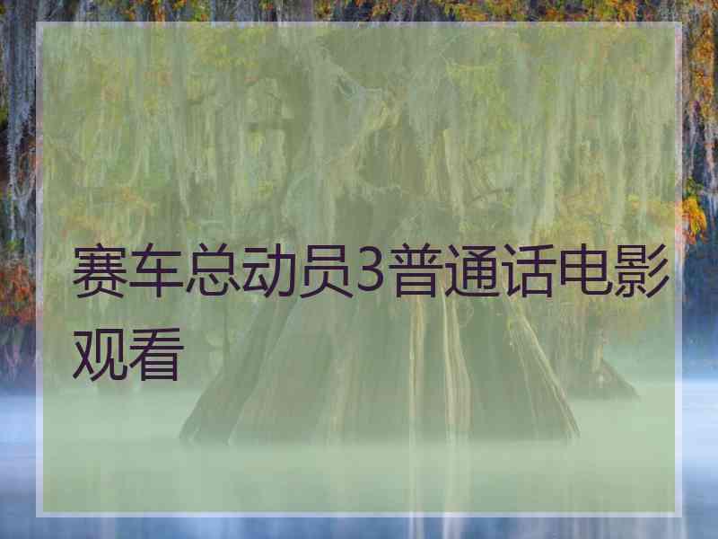 赛车总动员3普通话电影观看