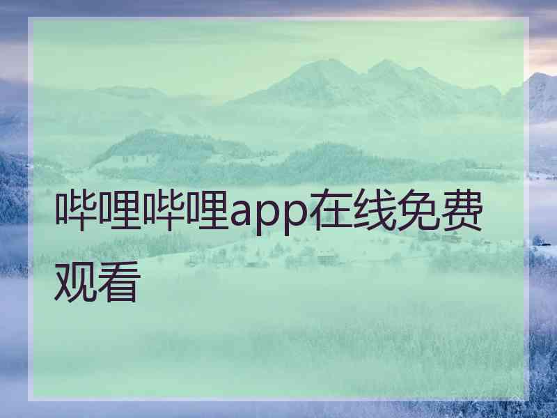 哔哩哔哩app在线免费观看