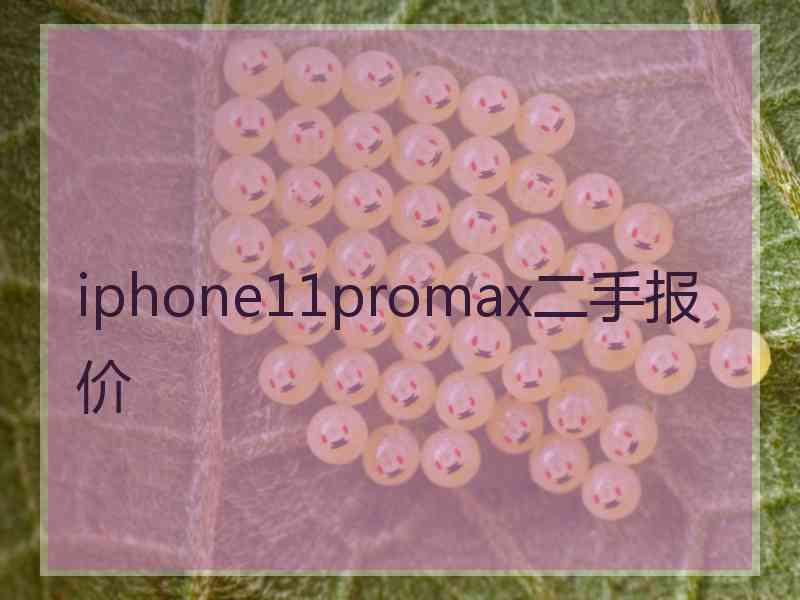 iphone11promax二手报价