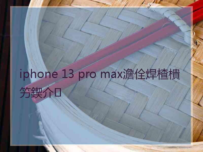 iphone 13 pro max澹佺焊楂樻竻鍥介