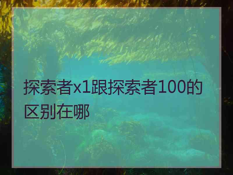 探索者x1跟探索者100的区别在哪