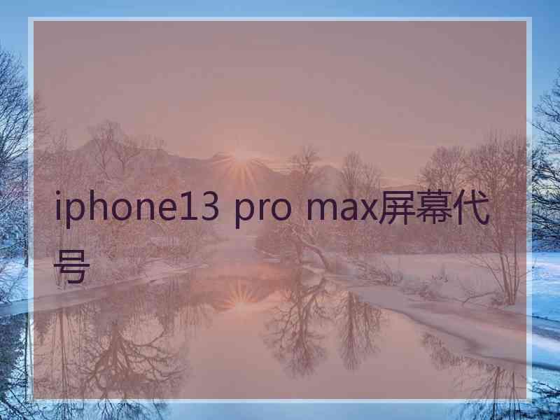 iphone13 pro max屏幕代号