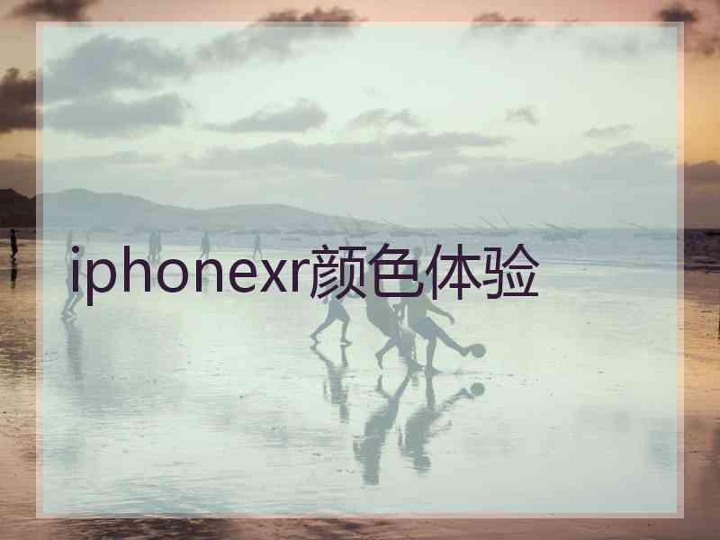 iphonexr颜色体验