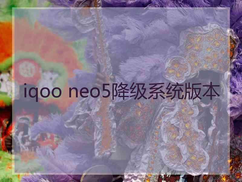 iqoo neo5降级系统版本