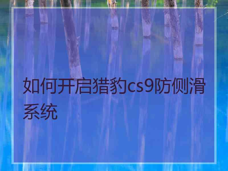 如何开启猎豹cs9防侧滑系统