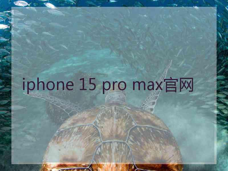 iphone 15 pro max官网