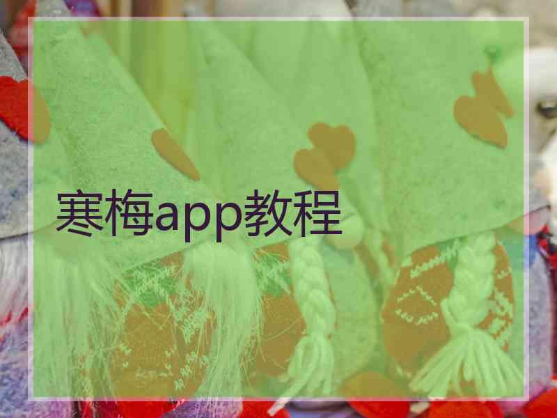 寒梅app教程