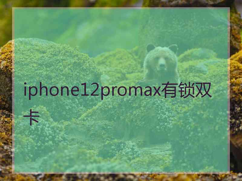 iphone12promax有锁双卡