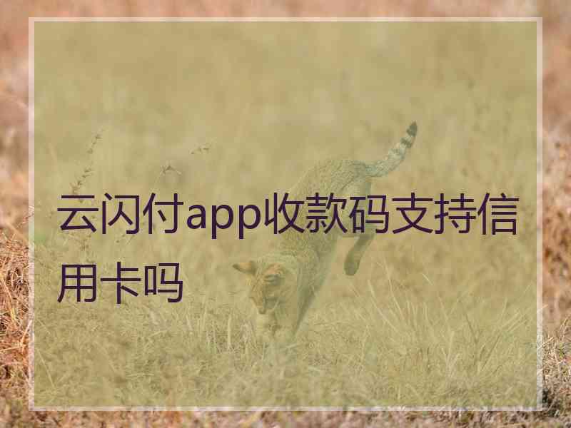 云闪付app收款码支持信用卡吗