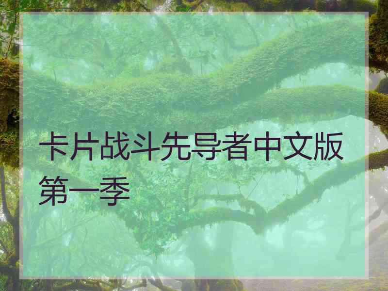 卡片战斗先导者中文版第一季