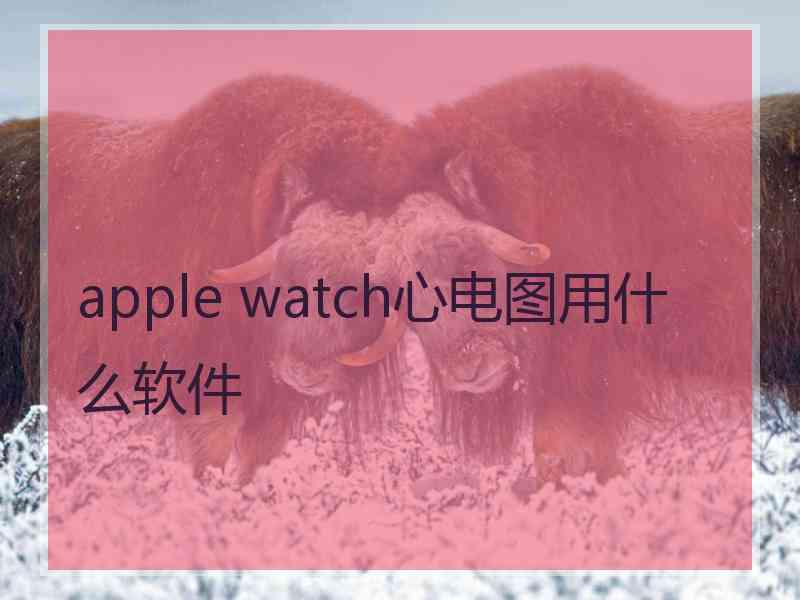 apple watch心电图用什么软件